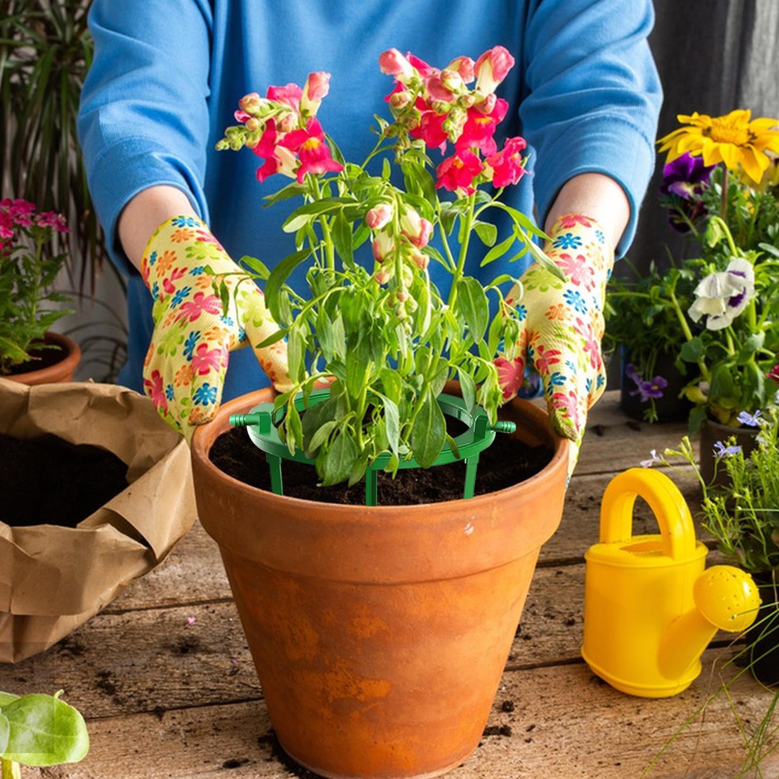 Кольцевой капельный ороситель  – обзор и цена Gardening Tools Target