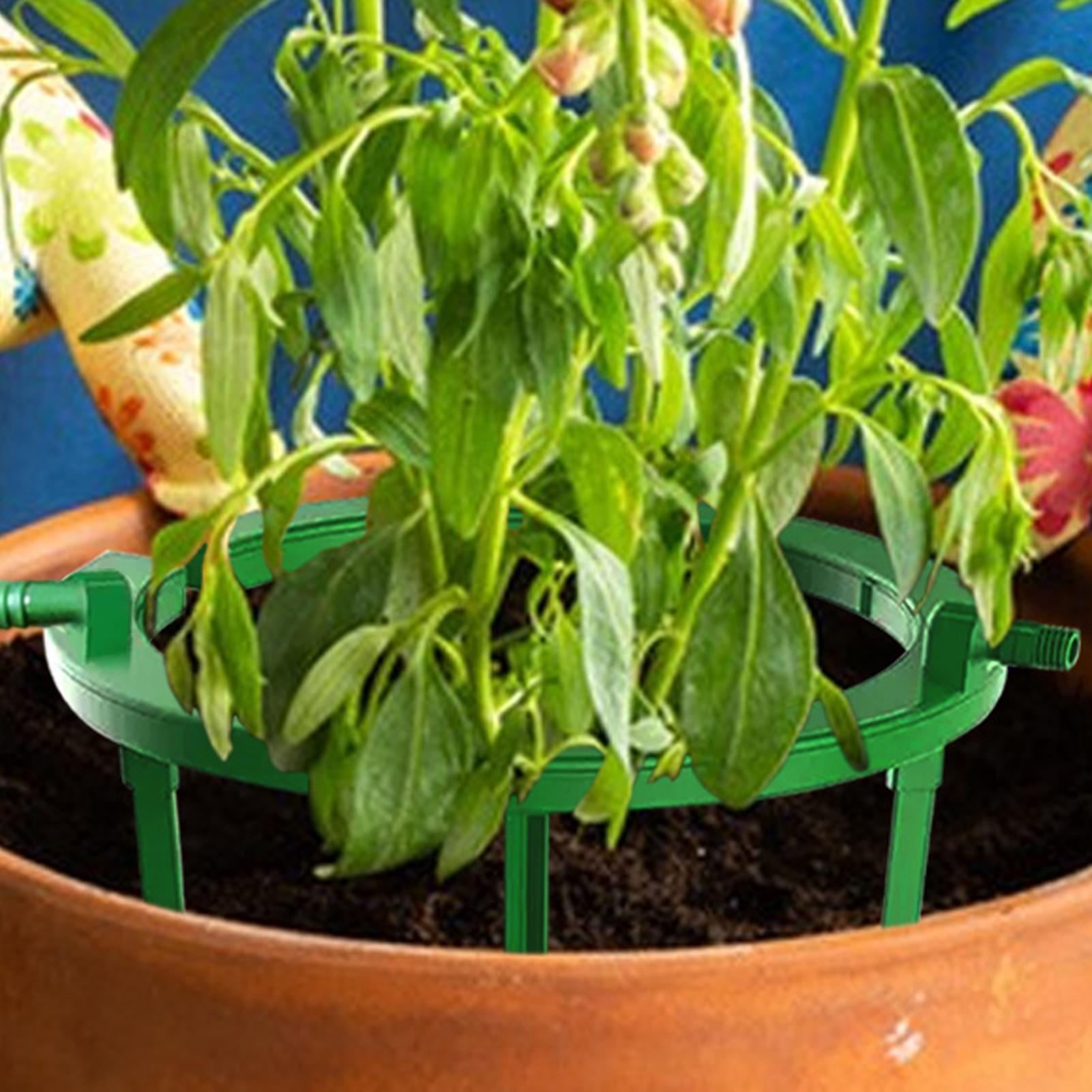 Кольцевой капельный ороситель  – обзор и цена Gardening Tools Target