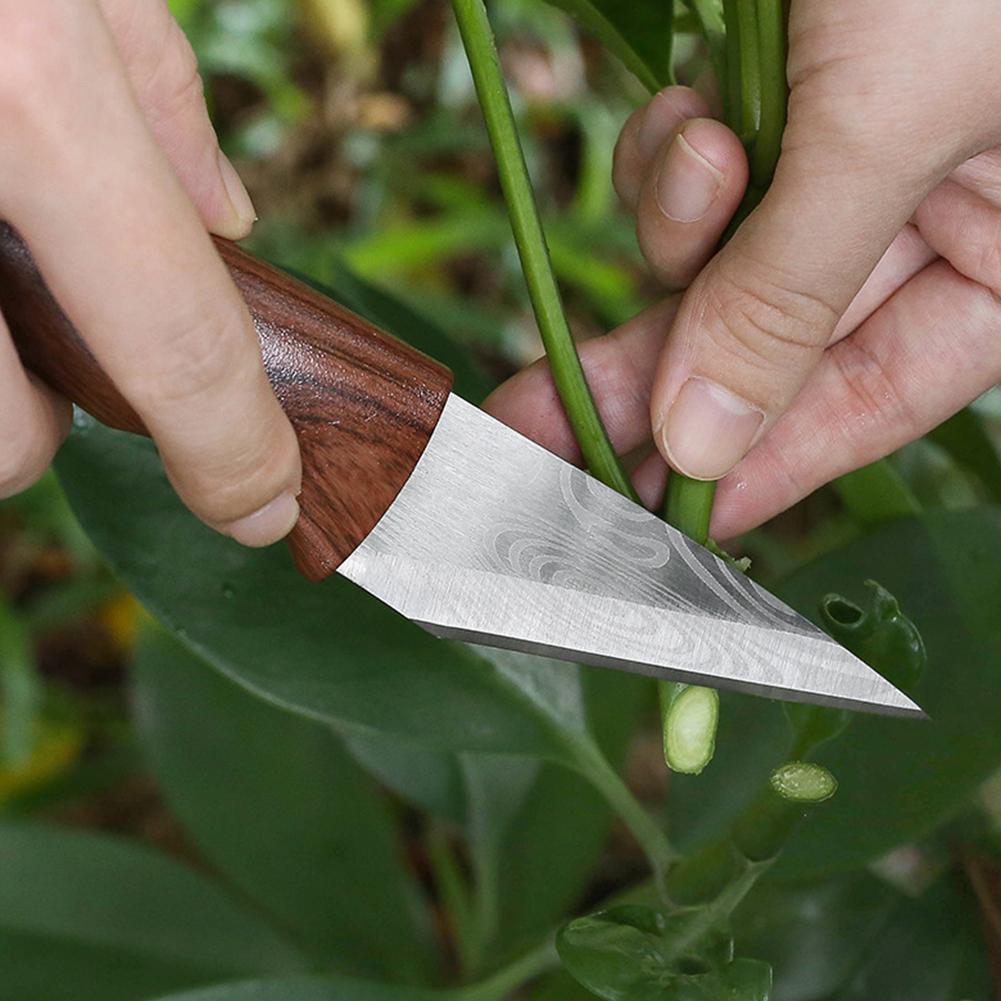 Нож для прививки, инструменты  – обзор и цена Harvest Knife Garden