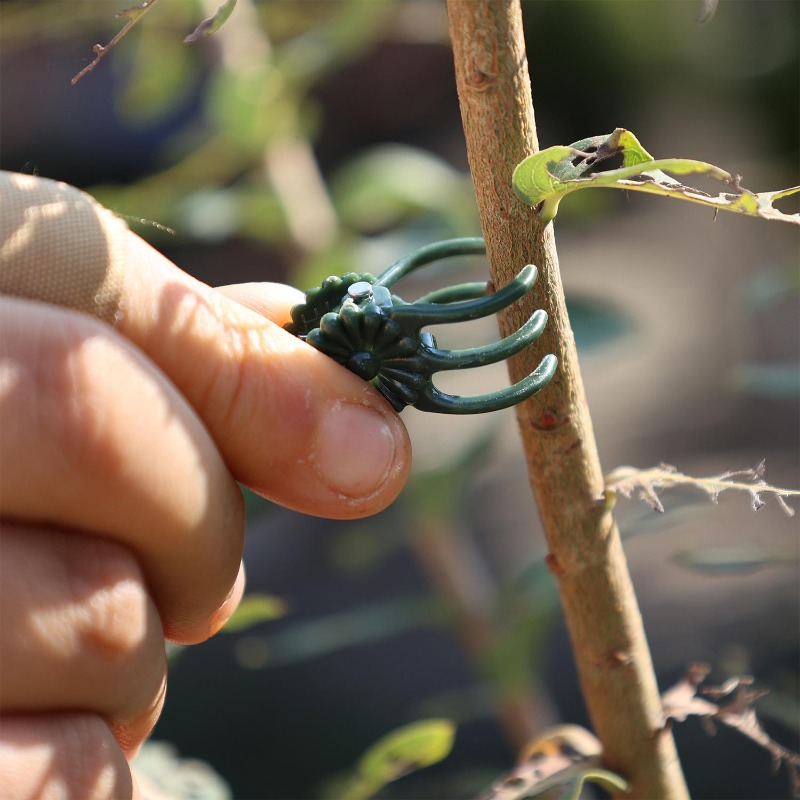 Оптовые мини-зажимы для поддер – обзор и цена Gardening Tools Wholesale
