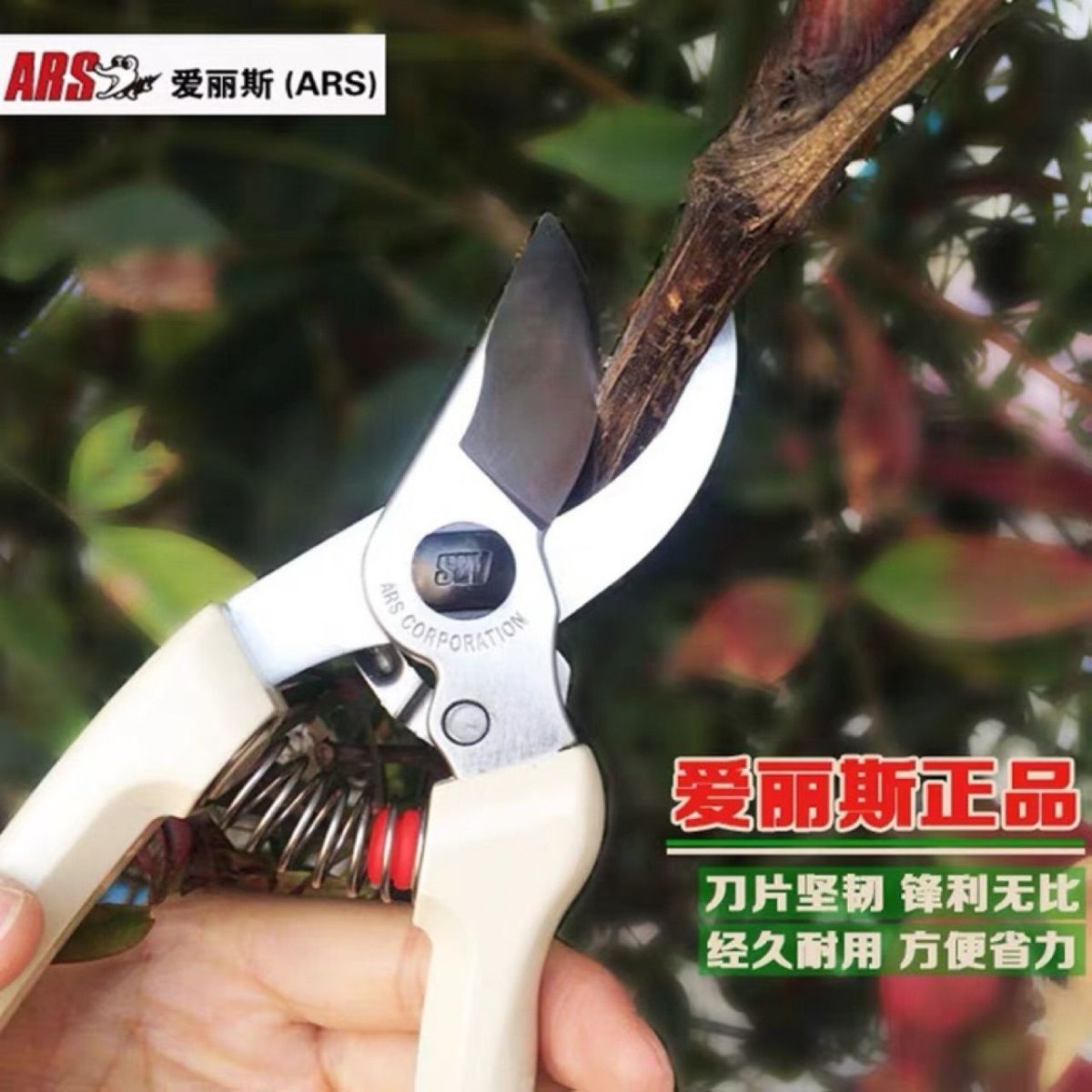 Обрезные ножницы, садовые инст – обзор и цена Gardening Tools In Japan