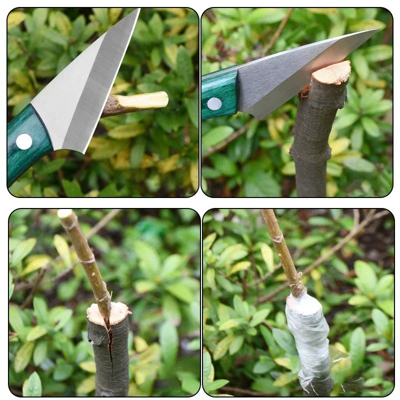 Нож для прививки из нержавеюще – обзор и цена Harvest Knife Garden