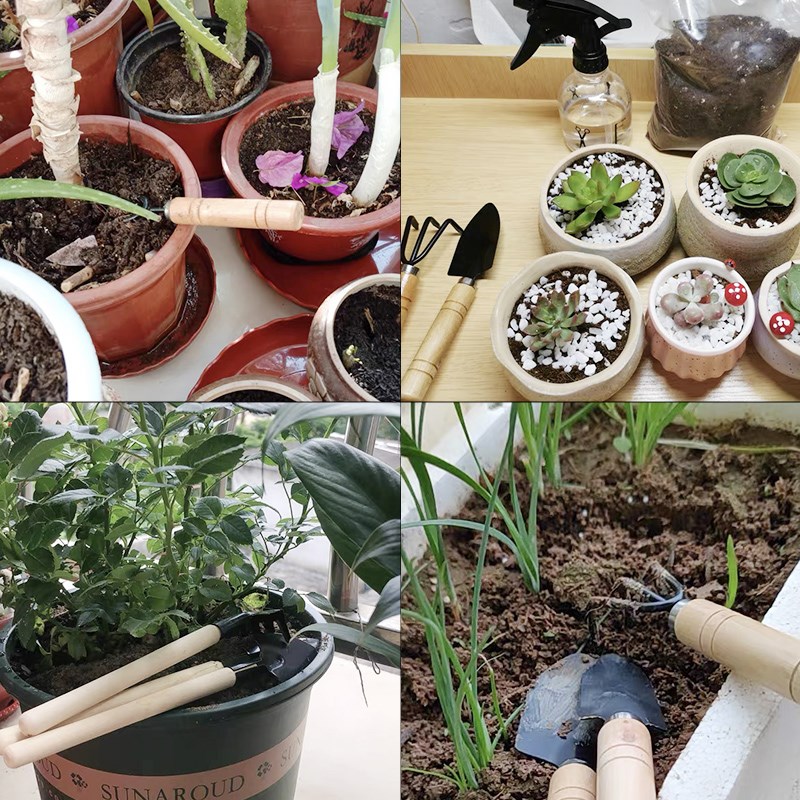 3 шт./1 компл. мини-набор садо – обзор и цена Gardening Tools Wholesale