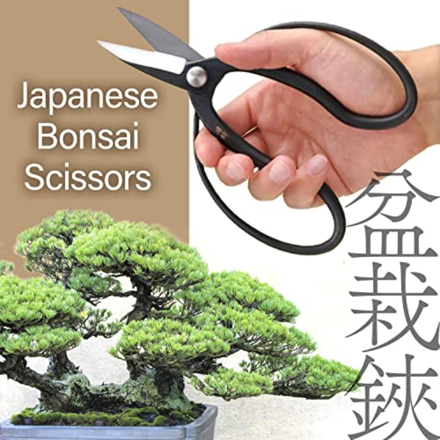 Японские ножницы для бонсай Su – обзор и цена Gardening Tools In Japan