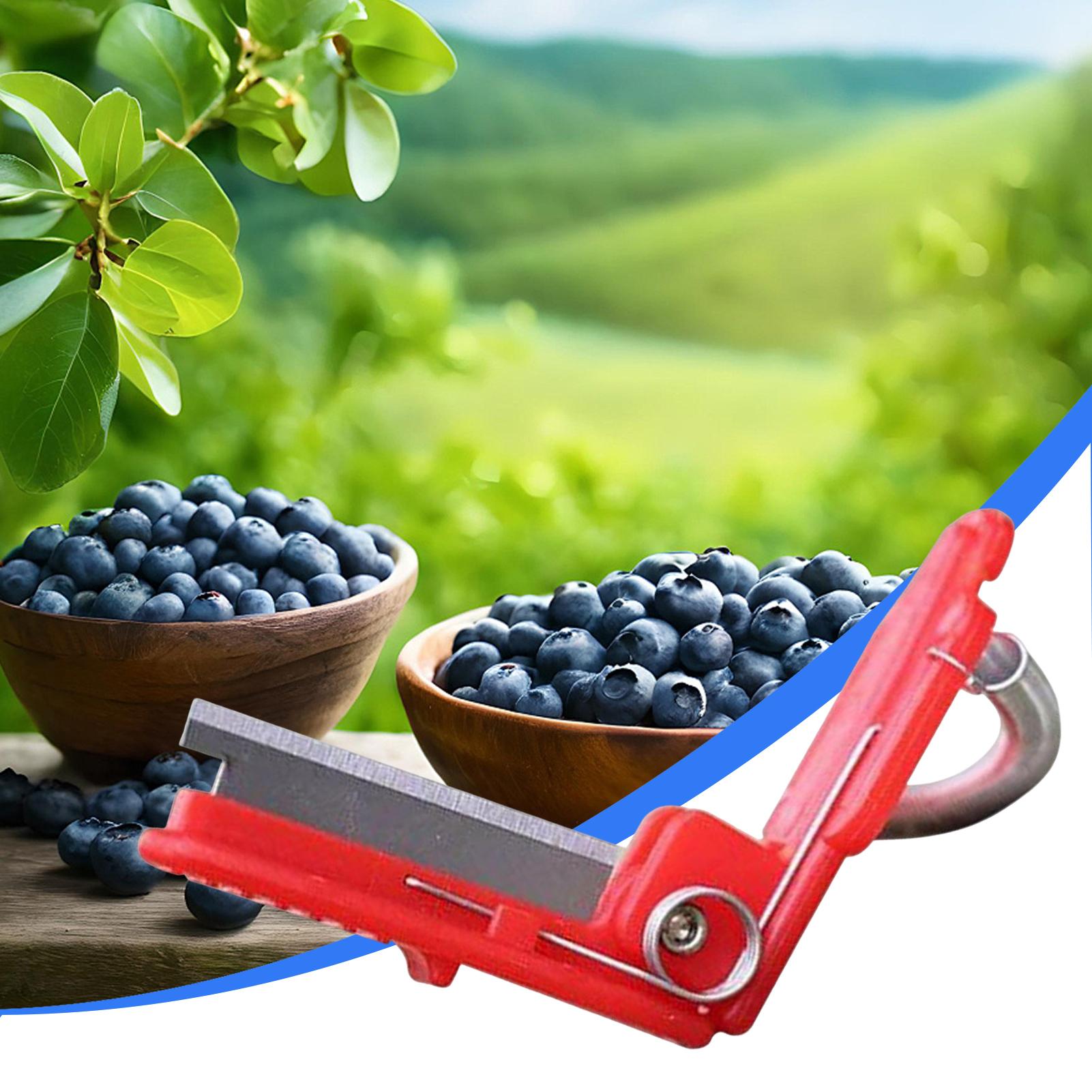 Многофункциональный нож-наперс – обзор и цена Harvest Knife Garden