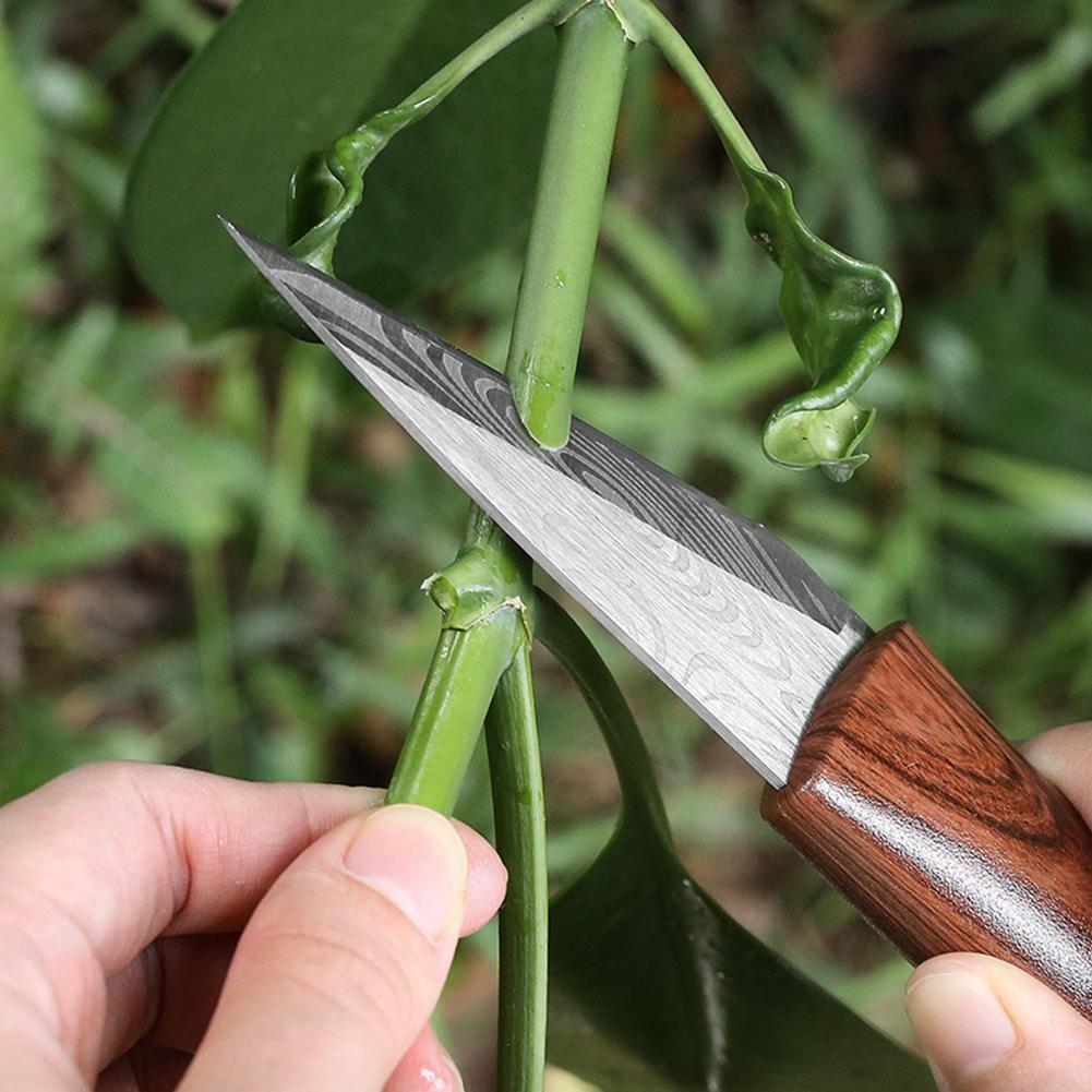 Острый садовый нож для прививк – обзор и цена Harvest Knife Garden