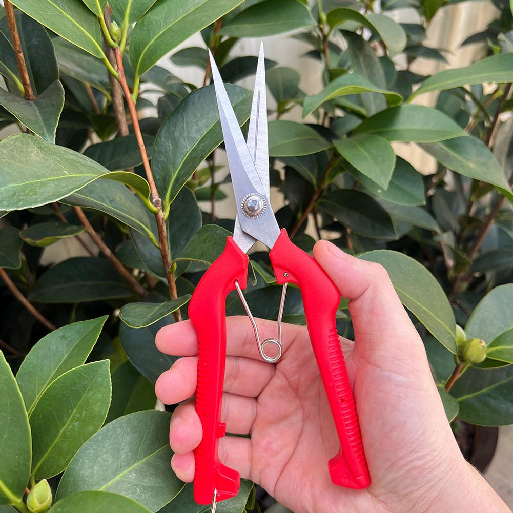 Профессиональные садовые секат – обзор и цена Gardening Tools Wholesale