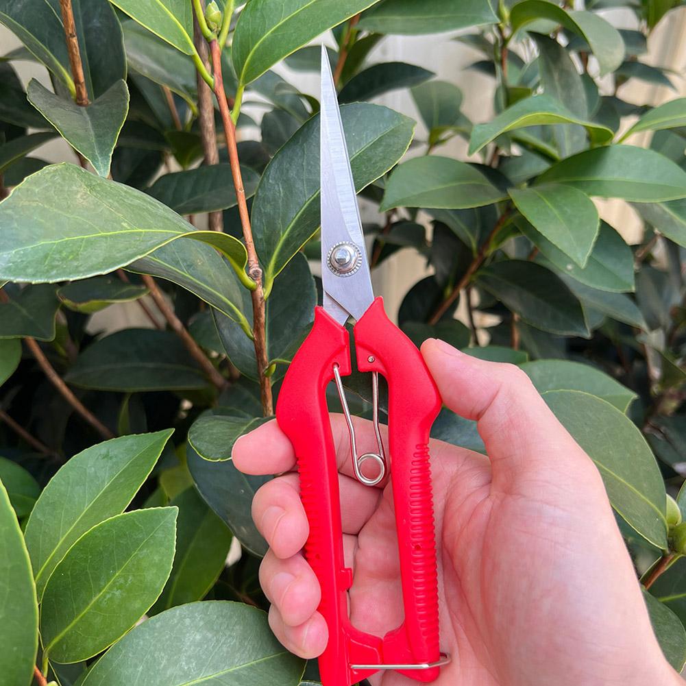 Профессиональные садовые секат – обзор и цена Gardening Tools Wholesale