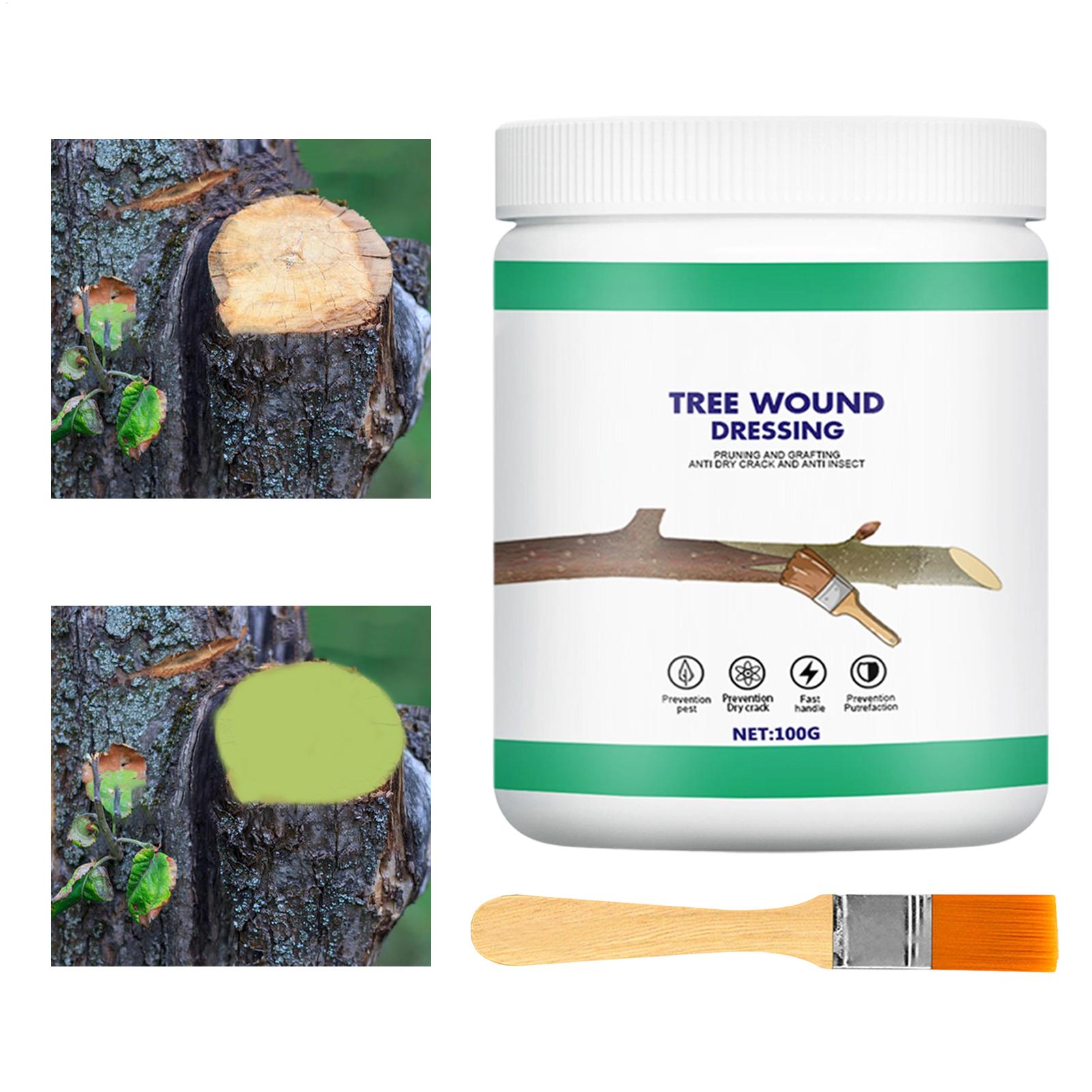 Паста для прививки деревьев, п – обзор и цена Gardening Tools Wholesale