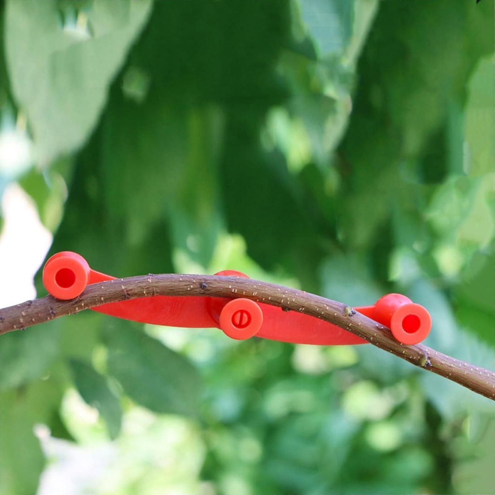 10 шт. зажимов для формировани – обзор и цена Gardening Tools Lowes