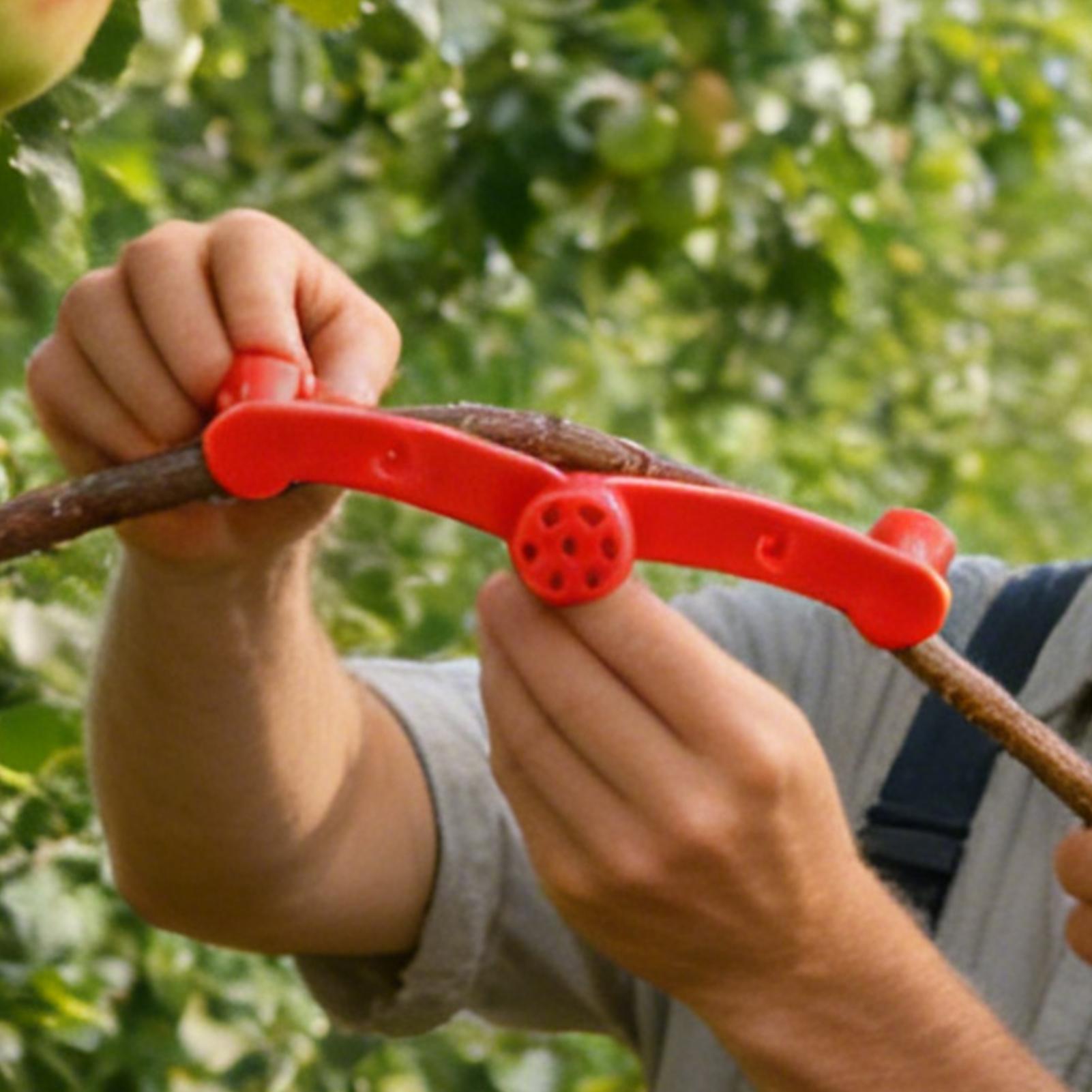 10 шт. зажимов для формировани – обзор и цена Gardening Tools Lowes