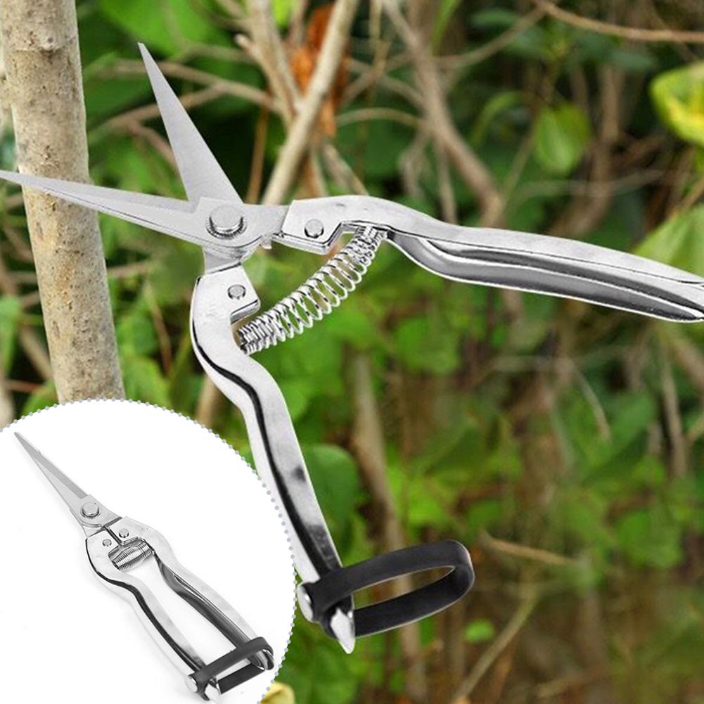 Секаторы для обрезки роз, раст – обзор и цена Gardening Hand Tools Yard